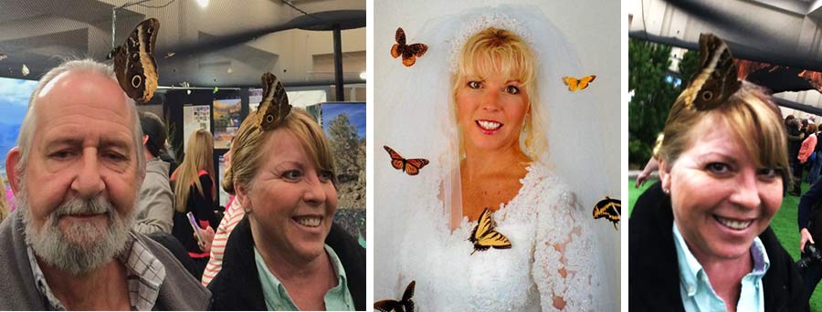 Butterfly Lynn